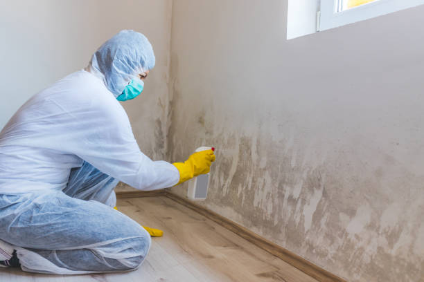 Licensed Bathroom Mold Removal service in Erwin, NC - WQB Mold Removal