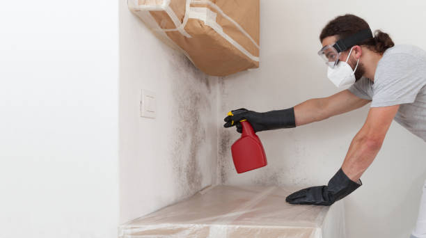 Professional Bathroom Mold Removal technician working in Erwin, NC