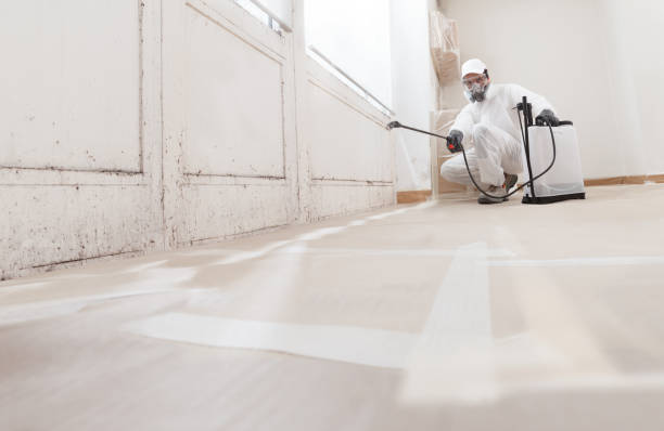 24/7 Emergency Bathroom Mold Removal experts in Erwin, NC
