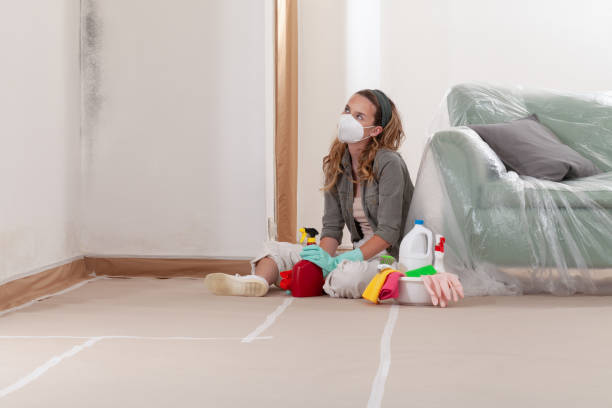 Reliable Bathroom Mold Removal contractor in Erwin, NC by WQB Mold Removal