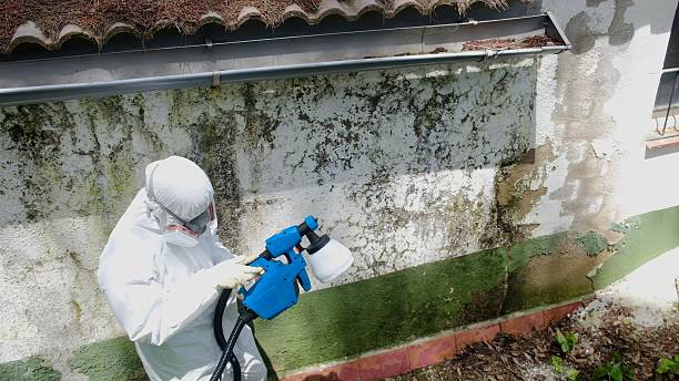 Top rated local Bathroom Mold Removal specialists in Erwin, NC